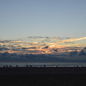 Meet your Posher, Elena